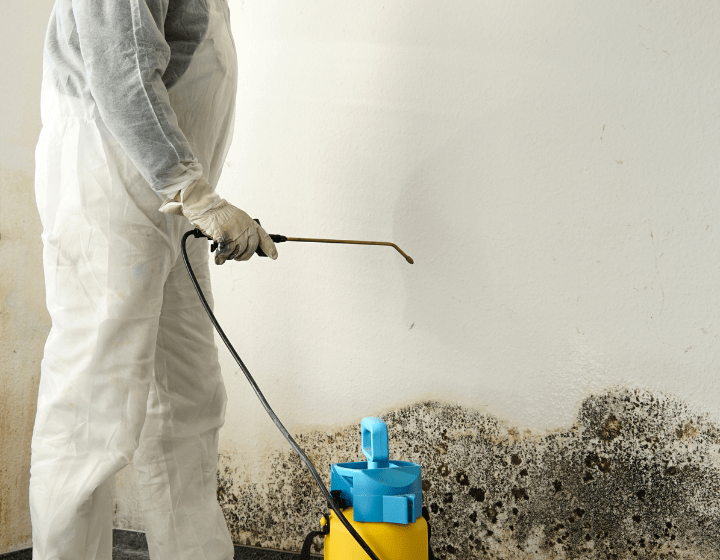 Mould cleaning newcastle